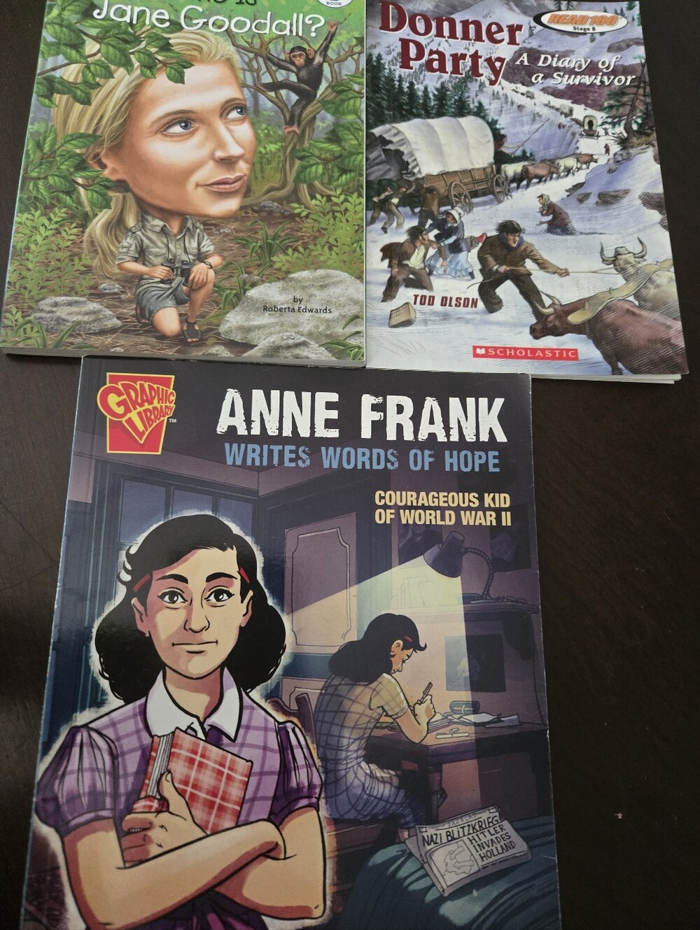 Anne Frank Graphic Library + Two Children's History Books - Multi-Color Covers